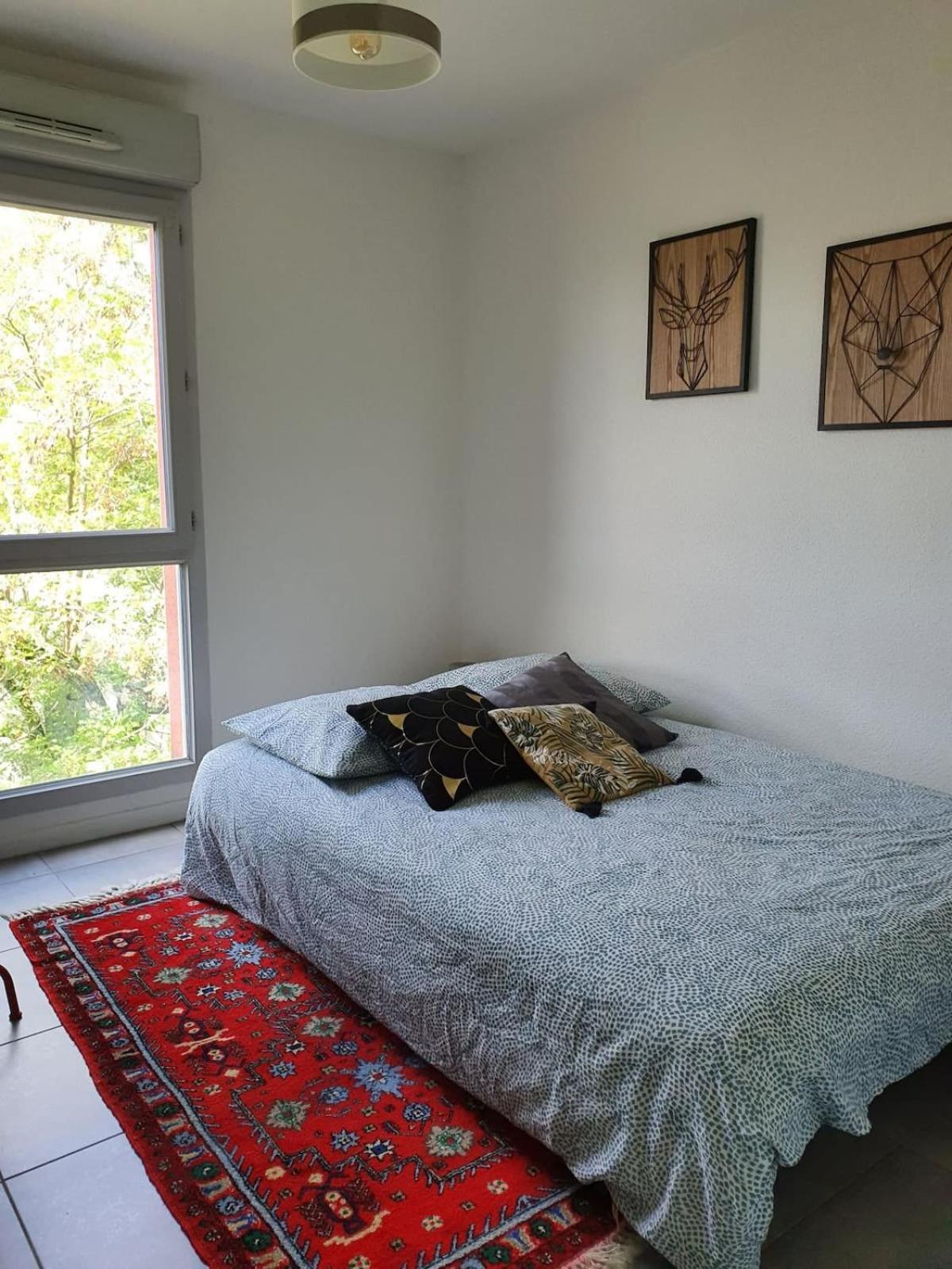 Daurade Balcon Parking Free - Bus Proche Centre Apartment ตูลูส ภายนอก รูปภาพ